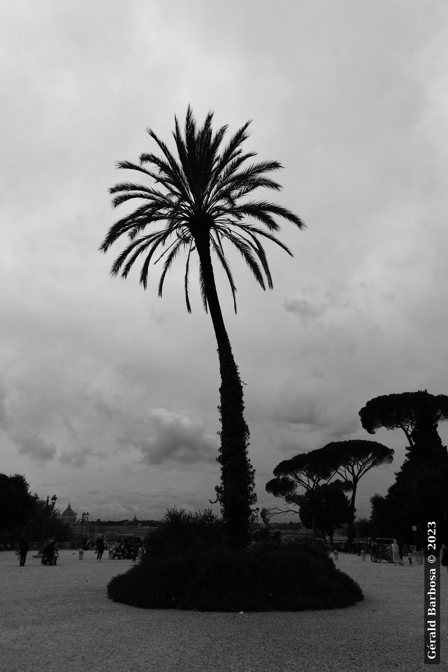 Villa Borghese, Rome (2023) - Gérald Barbosa