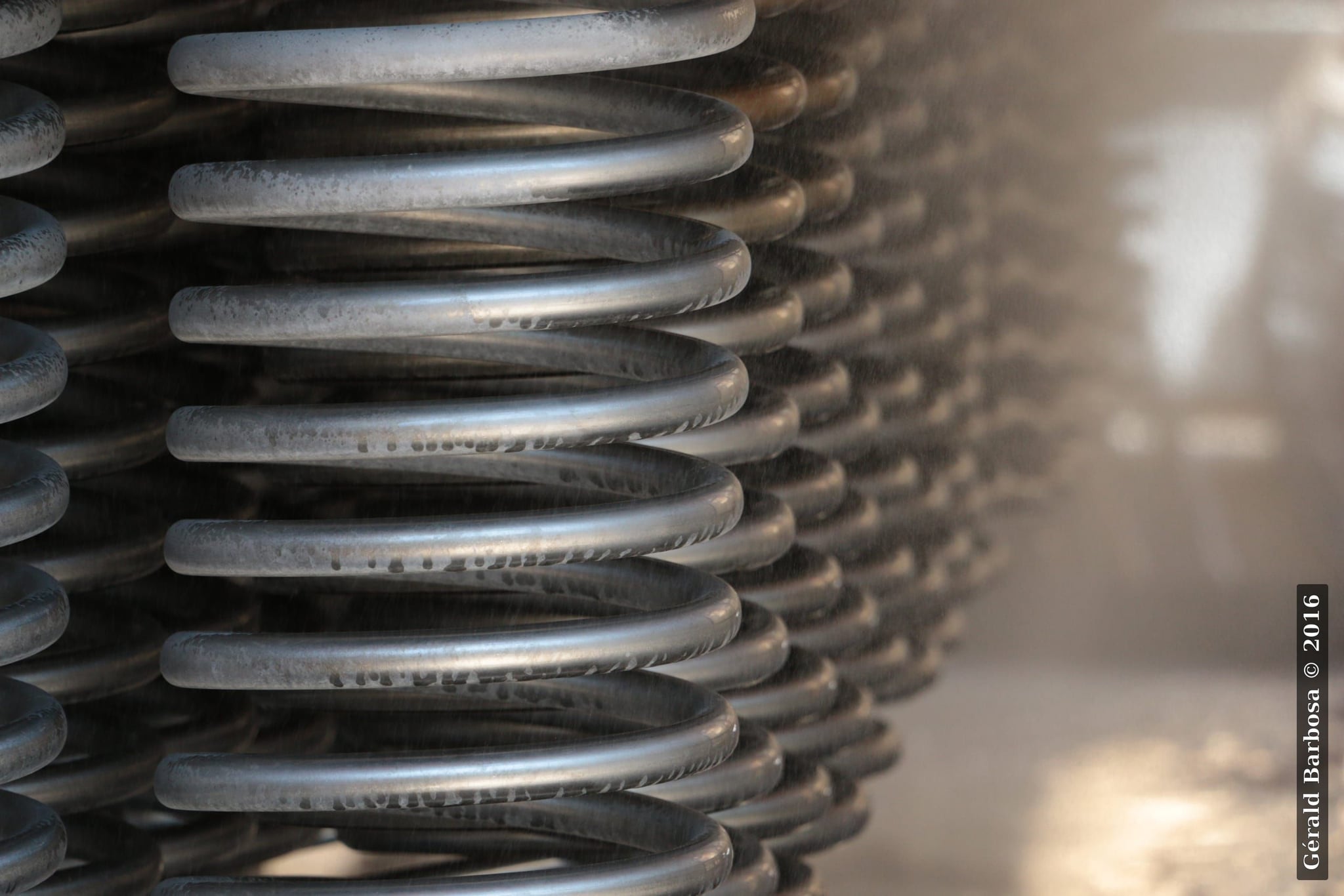 Distillerie de Lavande de Nyons, Nyons (2016) - Gérald Barbosa