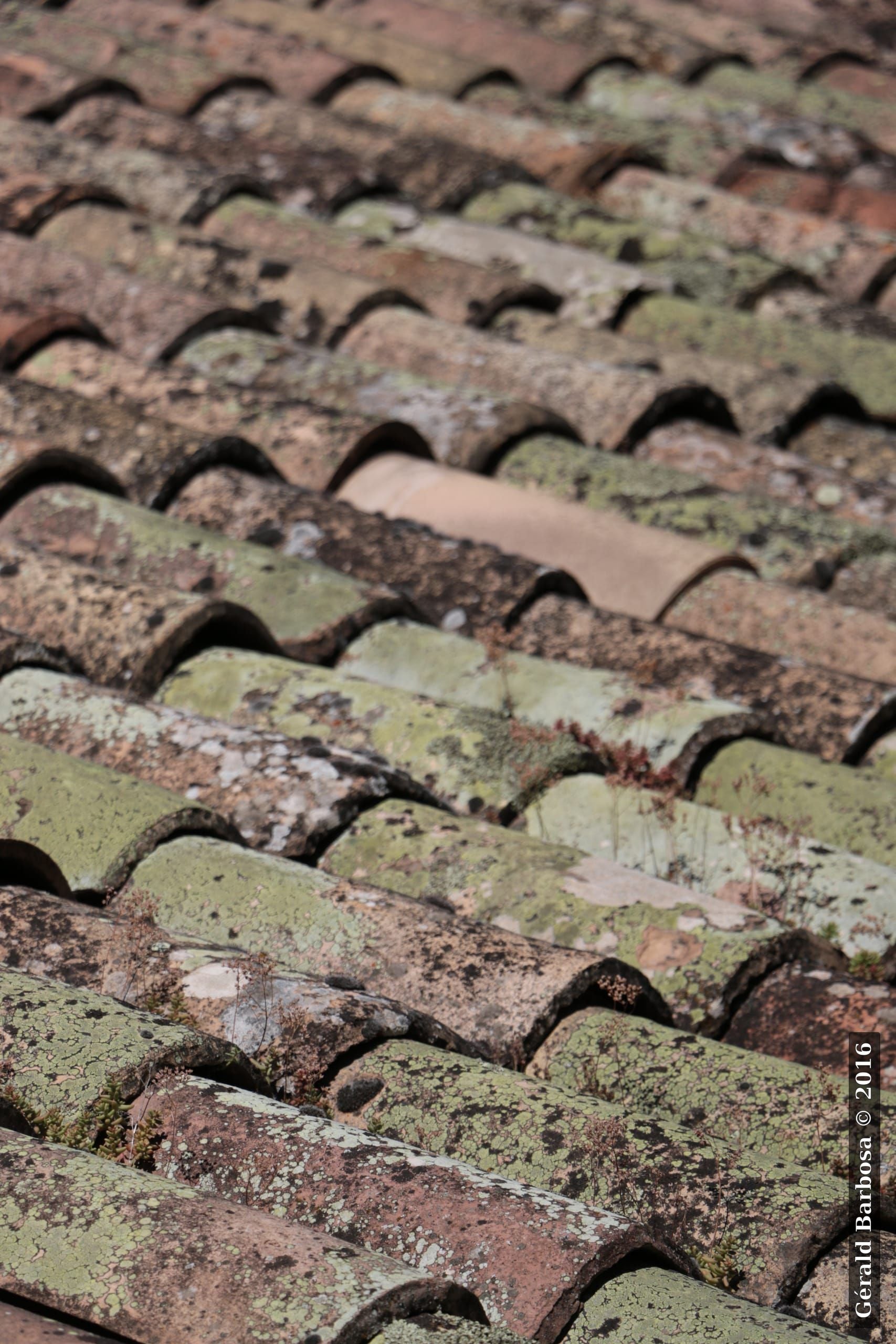 La tuile !, Vaison-la-Romaine (2016) - Gérald Barbosa